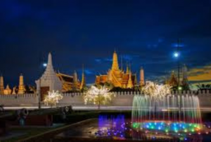 Bison Discovering Thailand